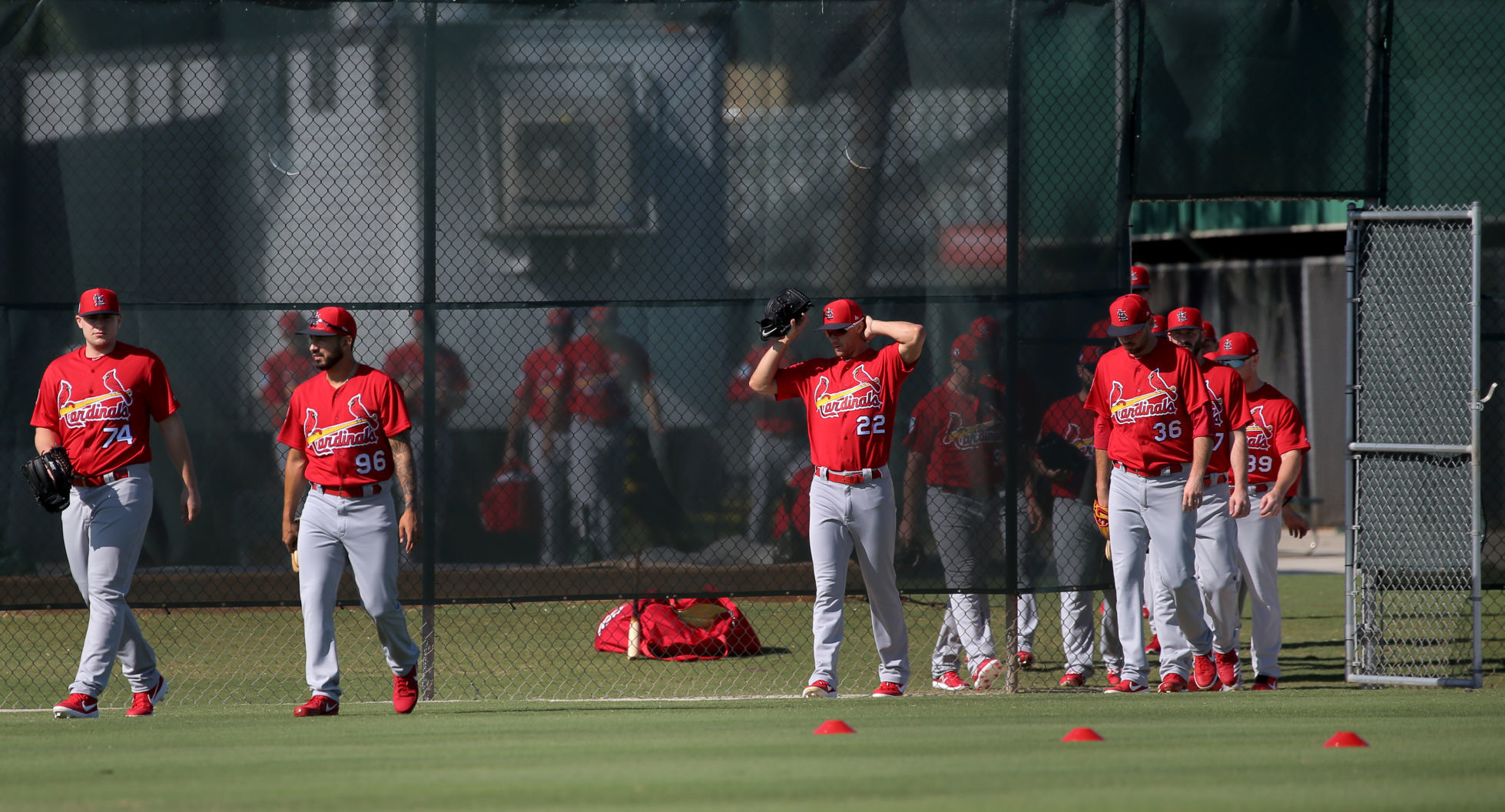 2019 Cardinals spring training